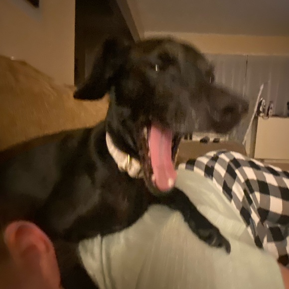 Meet your Posher, Canned_water - Picture 2 of 3